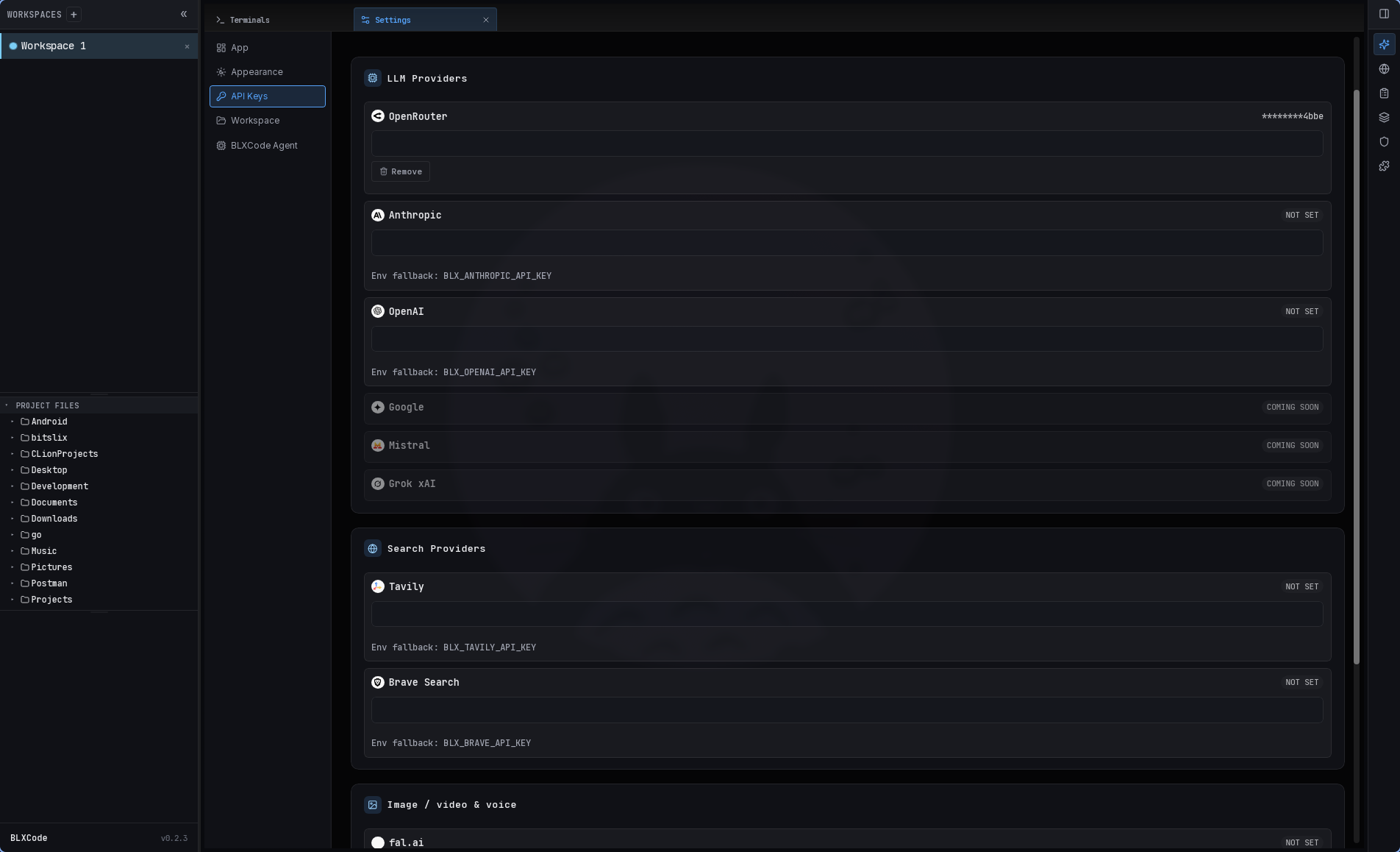 Settings API Keys pane with LLM providers, search providers, and Image/Video/Voice section
