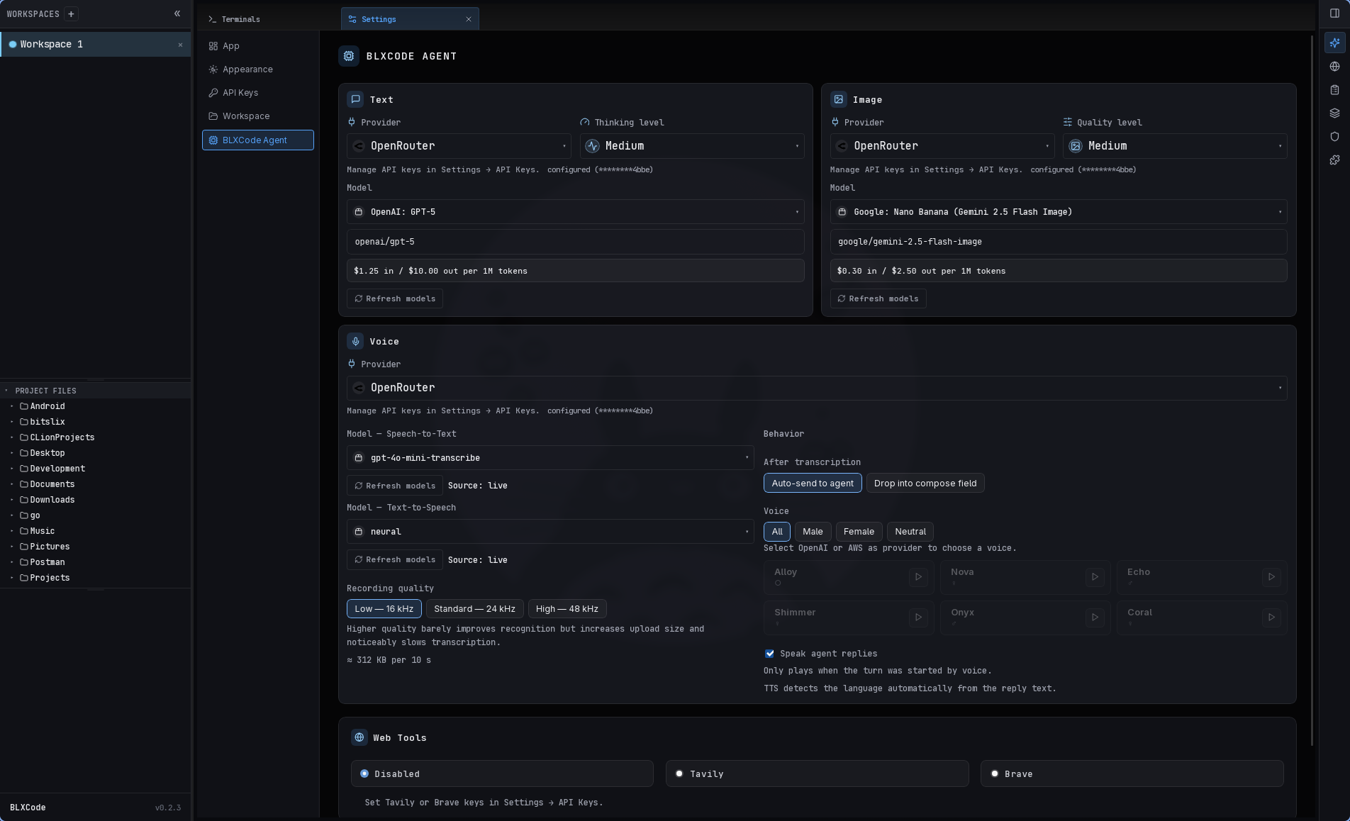 Settings BLXCode Agent pane with Text, Image, Voice, and Web Tools configuration cards